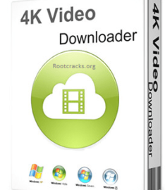 4k Video Downloader 234x300 1